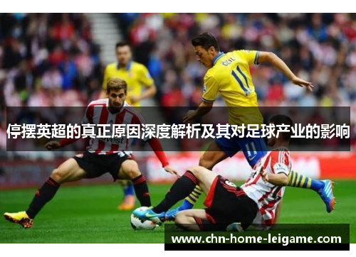 停摆英超的真正原因深度解析及其对足球产业的影响