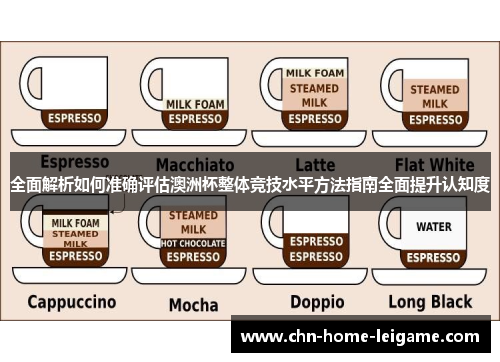 全面解析如何准确评估澳洲杯整体竞技水平方法指南全面提升认知度 全面解析如何准确评估澳洲杯整体竞技水平方法指南全面提升认知度