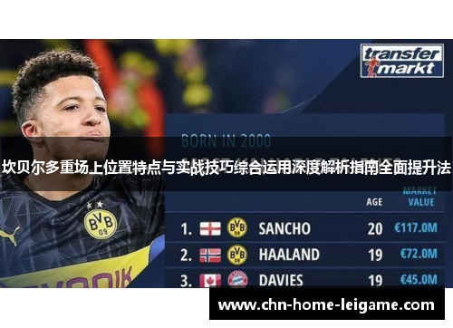 坎贝尔多重场上位置特点与实战技巧综合运用深度解析指南全面提升法