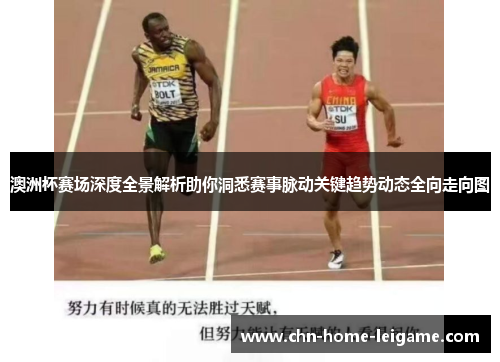 澳洲杯赛场深度全景解析助你洞悉赛事脉动关键趋势动态全向走向图