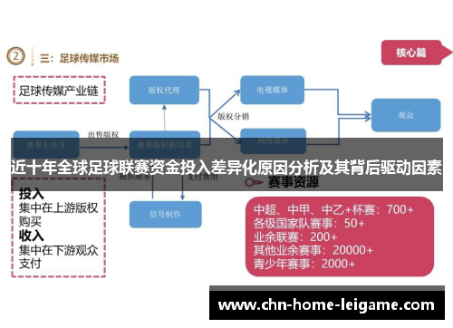 近十年全球足球联赛资金投入差异化原因分析及其背后驱动因素
