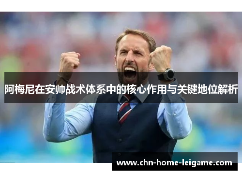 阿梅尼在安帅战术体系中的核心作用与关键地位解析 阿梅尼在安帅战术体系中的核心作用与关键地位解析