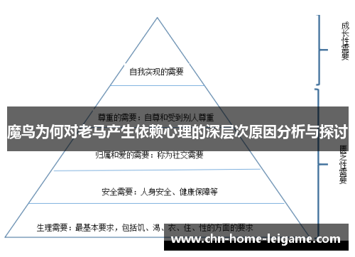 魔鸟为何对老马产生依赖心理的深层次原因分析与探讨