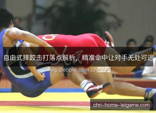 自由式摔跤击打落点解析，精准命中让对手无处可逃
