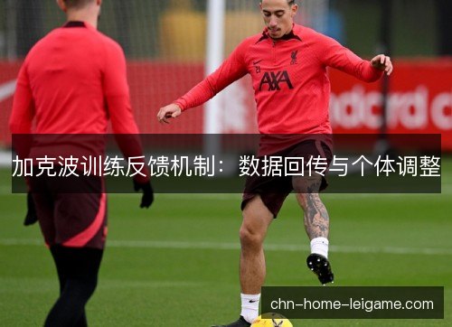 加克波训练反馈机制:数据回传与个体调整 加克波训练反馈机制:数据回传与个体调整